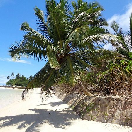 Hcs Bungalows Turtle Bay Rustic Bungalow Au Cap ภายนอก รูปภาพ