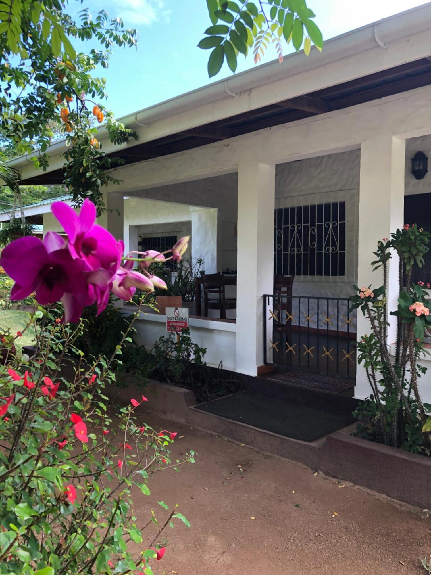 Hcs Bungalows Turtle Bay Rustic Bungalow Au Cap ภายนอก รูปภาพ