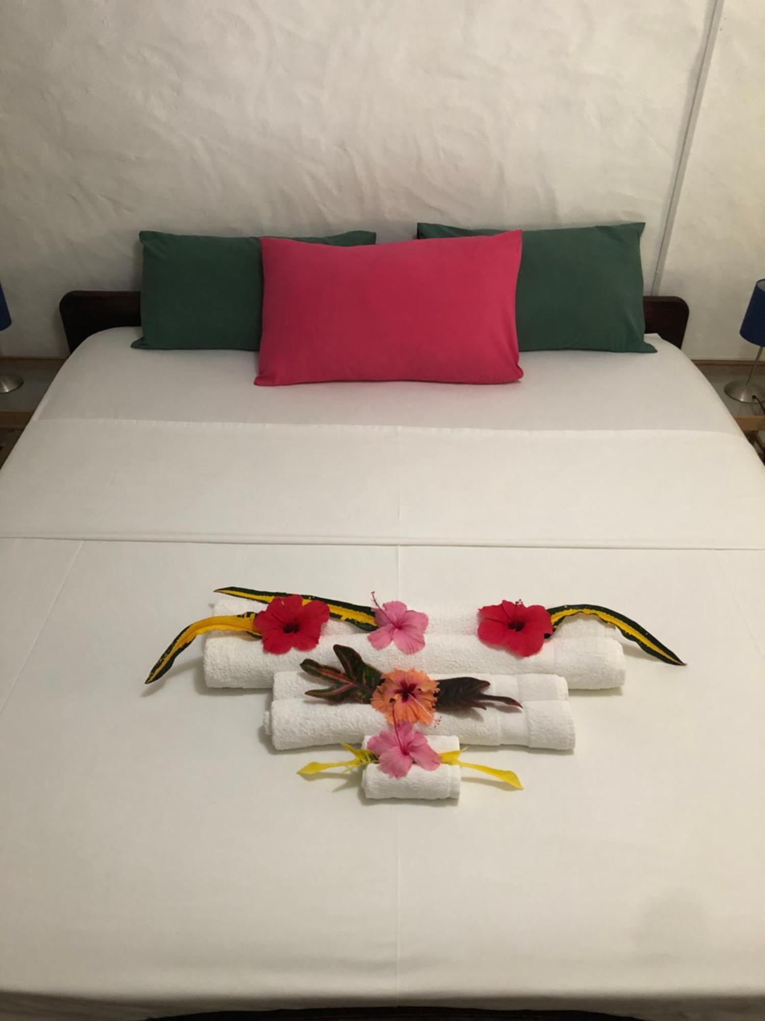Hcs Bungalows Turtle Bay Rustic Bungalow Au Cap ภายนอก รูปภาพ