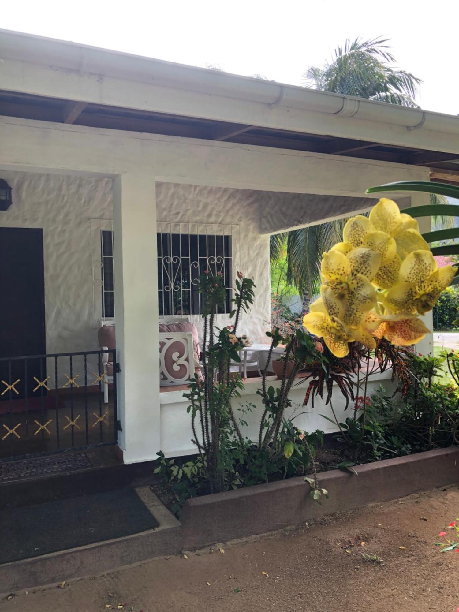 Hcs Bungalows Turtle Bay Rustic Bungalow Au Cap ภายนอก รูปภาพ