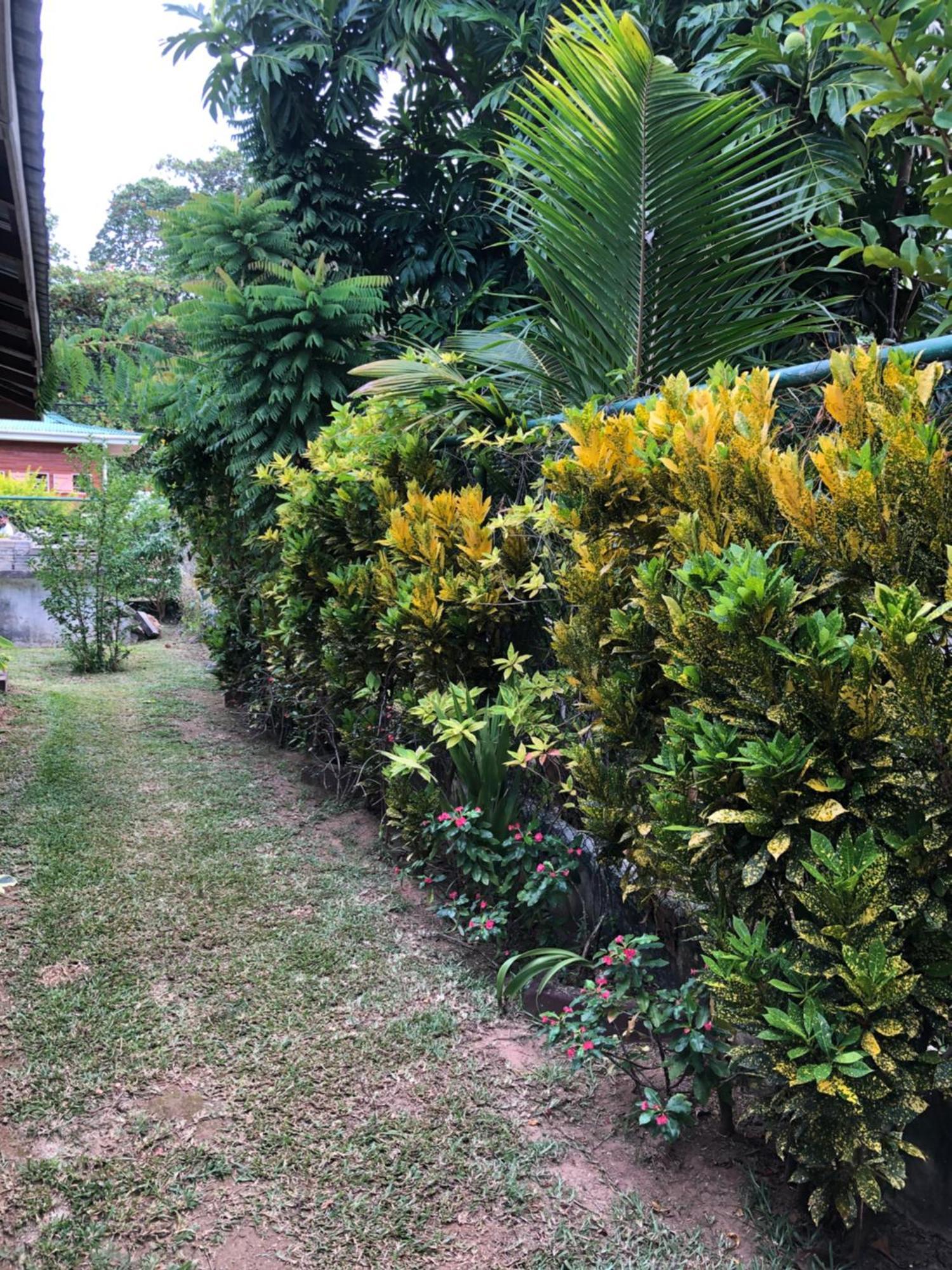 Hcs Bungalows Turtle Bay Rustic Bungalow Au Cap ภายนอก รูปภาพ