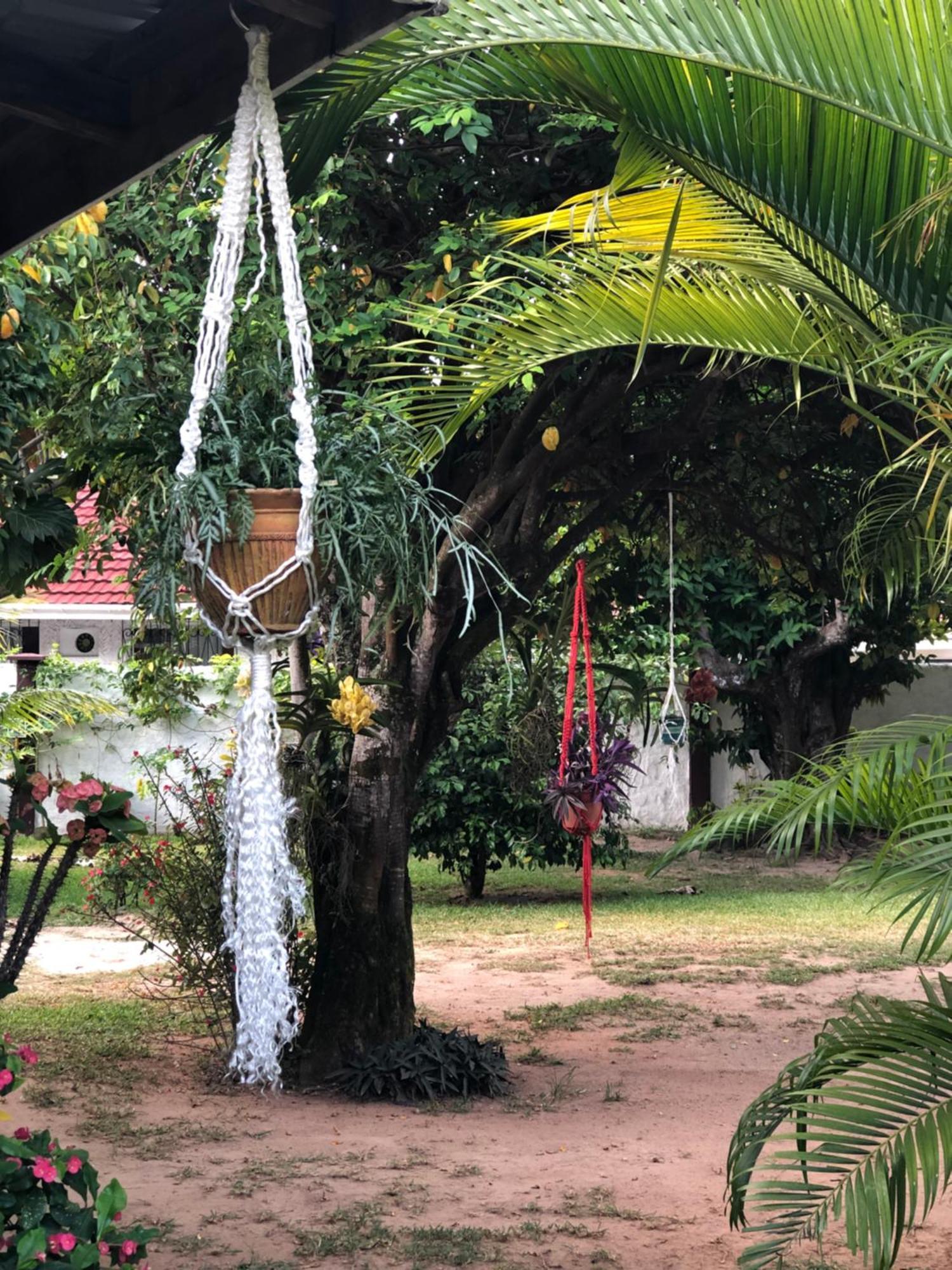 Hcs Bungalows Turtle Bay Rustic Bungalow Au Cap ภายนอก รูปภาพ