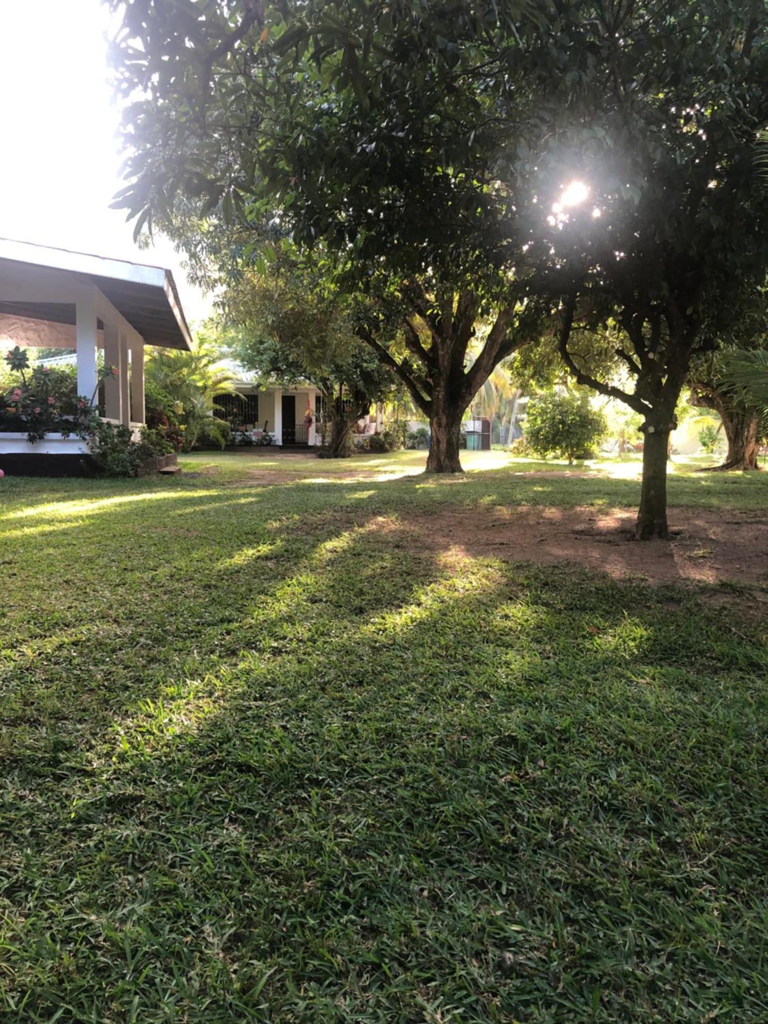 Hcs Bungalows Turtle Bay Rustic Bungalow Au Cap ภายนอก รูปภาพ
