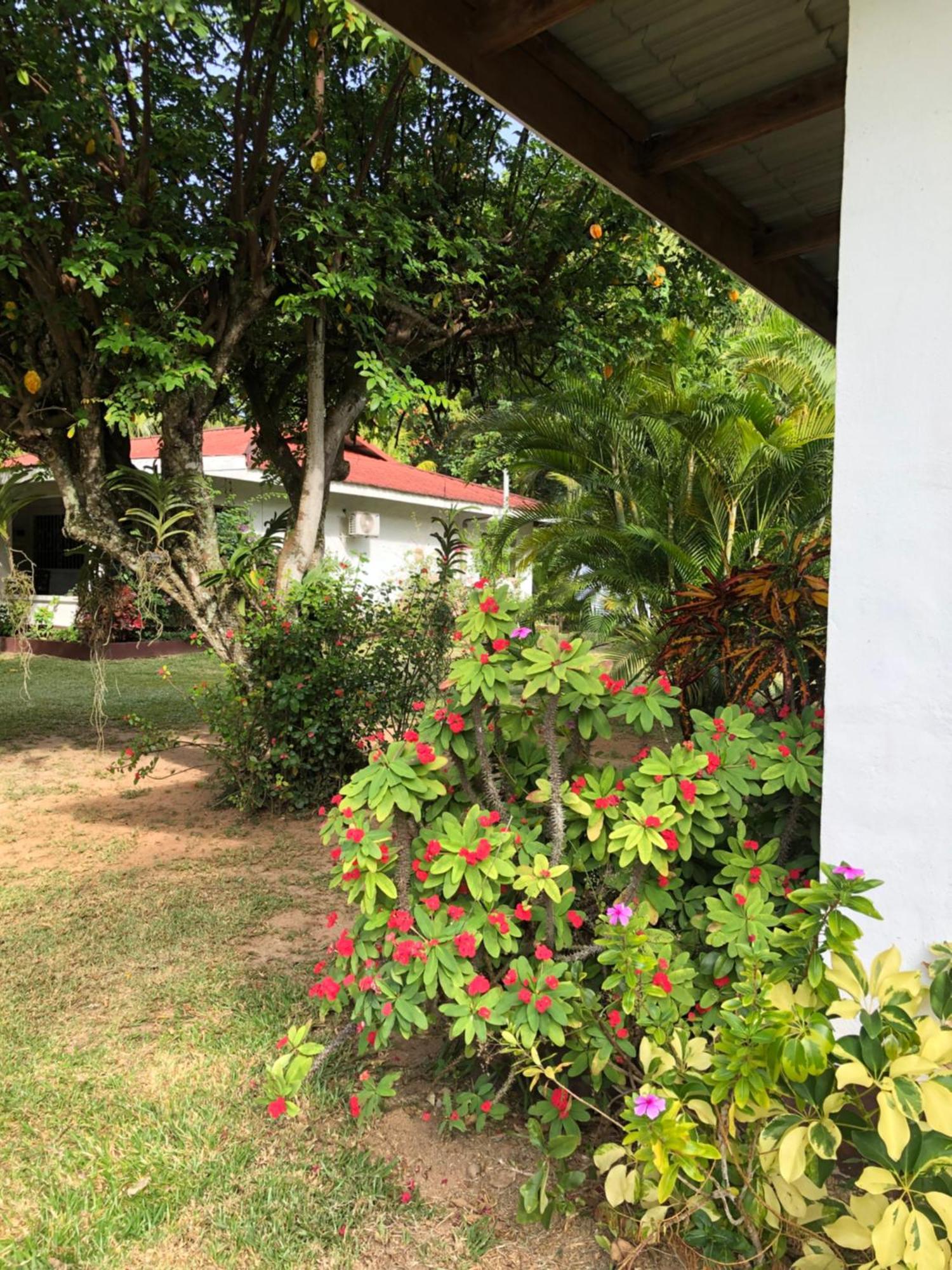 Hcs Bungalows Turtle Bay Rustic Bungalow Au Cap ภายนอก รูปภาพ