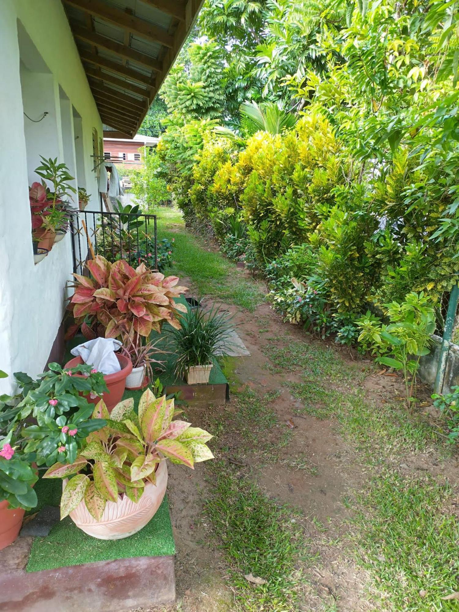 Hcs Bungalows Turtle Bay Rustic Bungalow Au Cap ภายนอก รูปภาพ