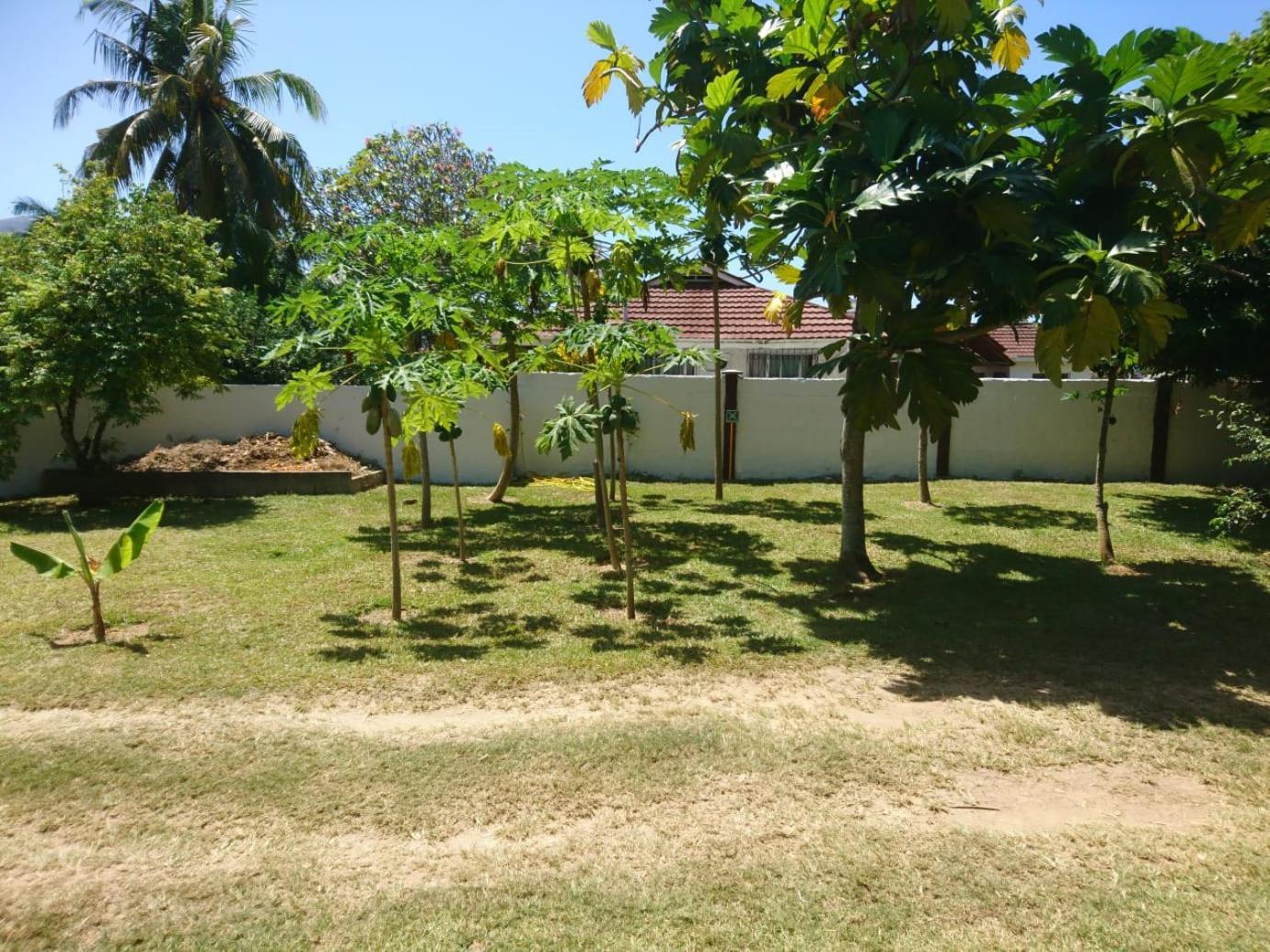 Hcs Bungalows Turtle Bay Rustic Bungalow Au Cap ภายนอก รูปภาพ