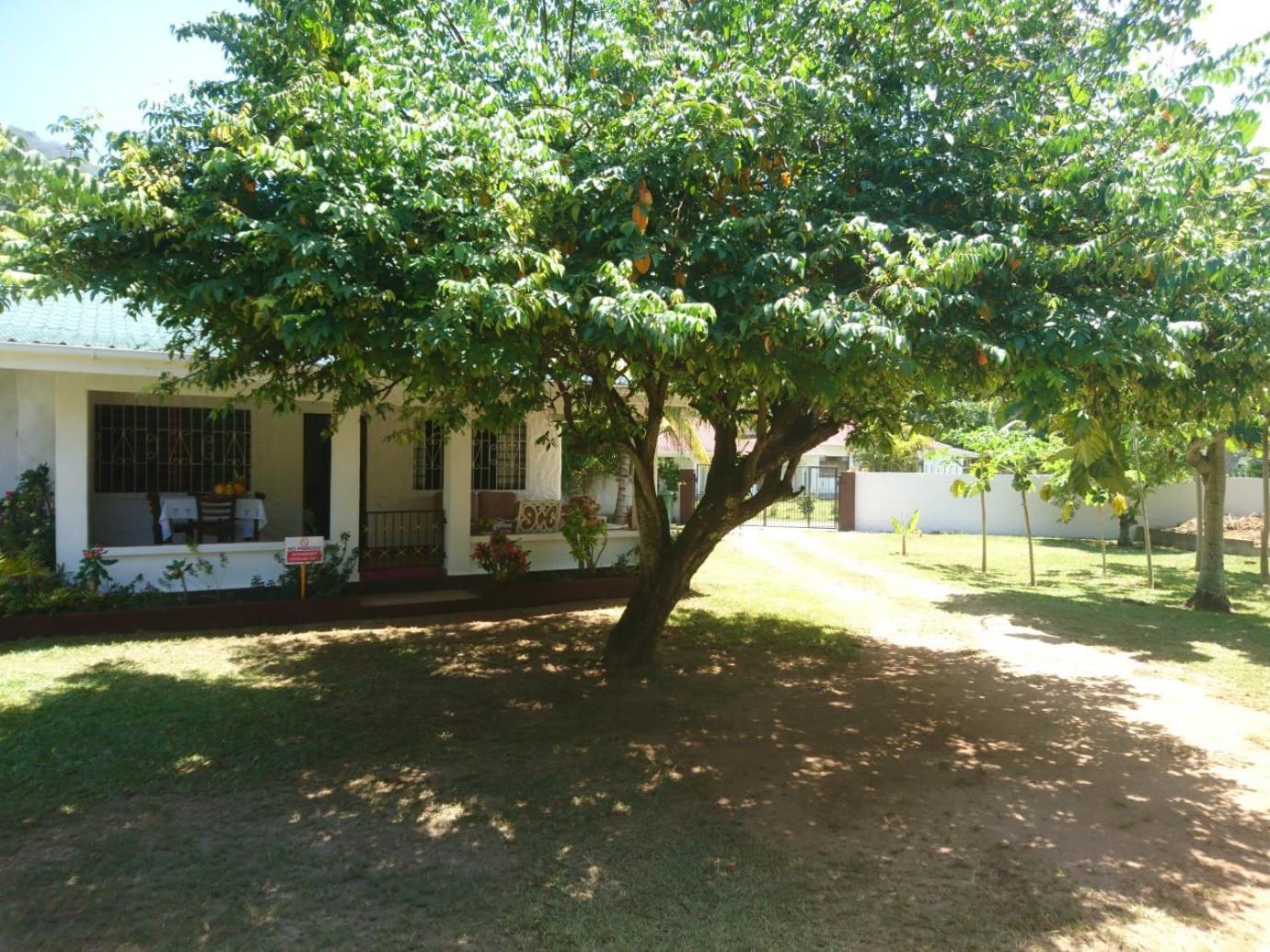Hcs Bungalows Turtle Bay Rustic Bungalow Au Cap ภายนอก รูปภาพ