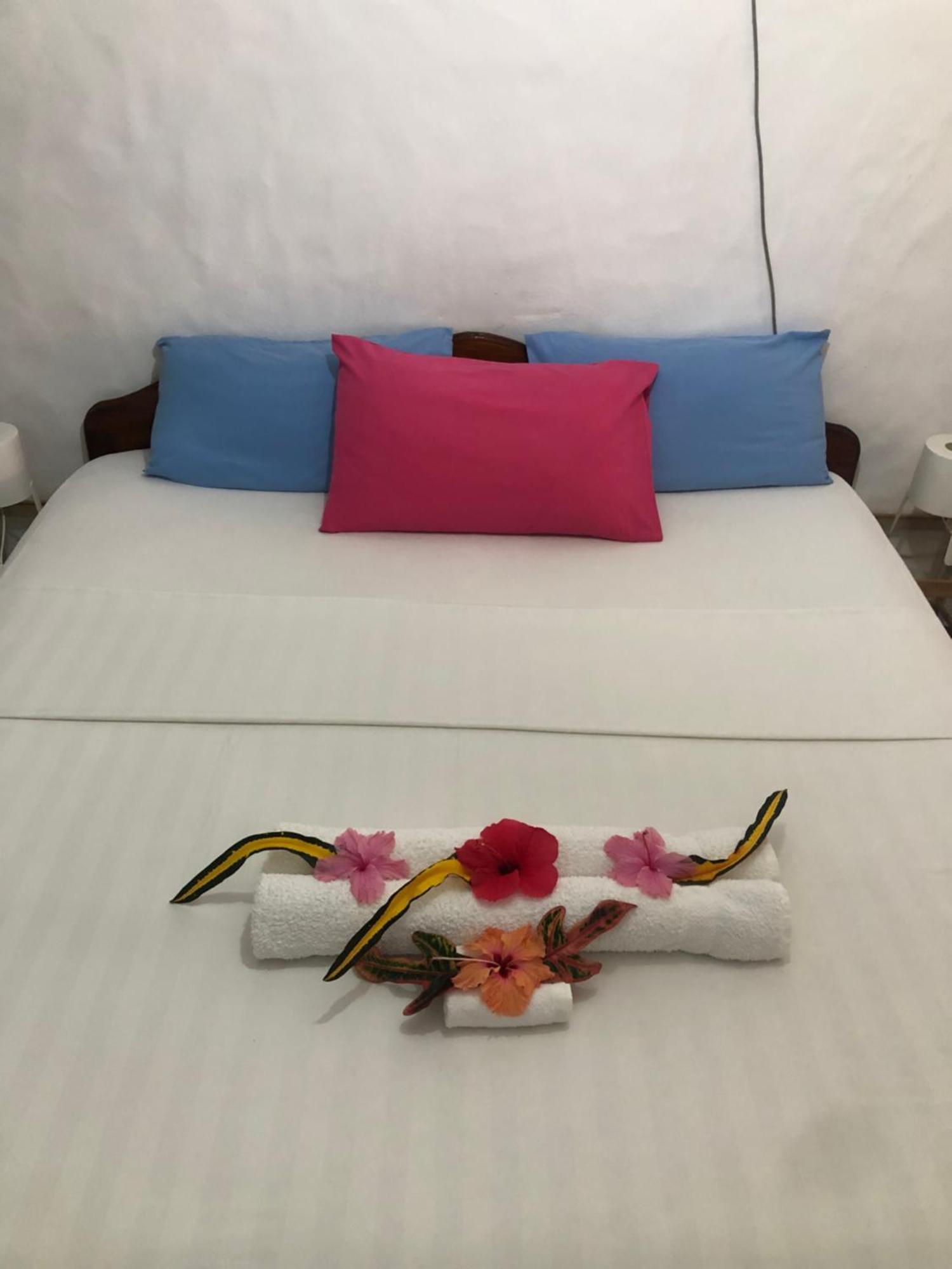 Hcs Bungalows Turtle Bay Rustic Bungalow Au Cap ภายนอก รูปภาพ