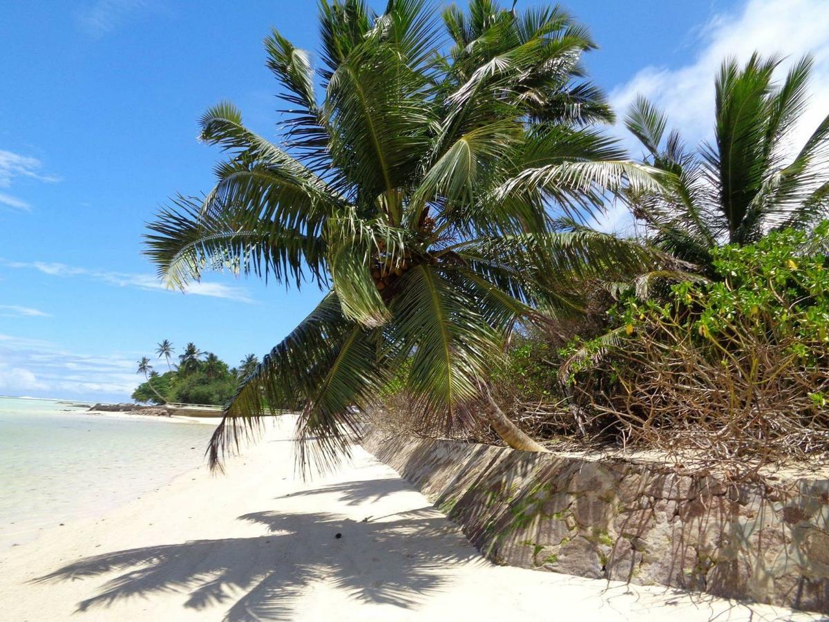 Hcs Bungalows Turtle Bay Rustic Bungalow Au Cap ภายนอก รูปภาพ